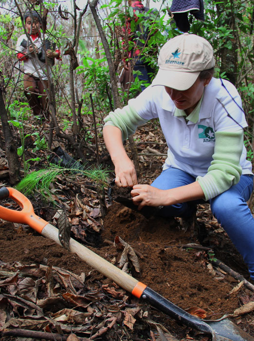 bosque-somos-equipo-de-alternare-en-reforestacion-comunitaria-en-comunidad-indigena-nicolas-romero
